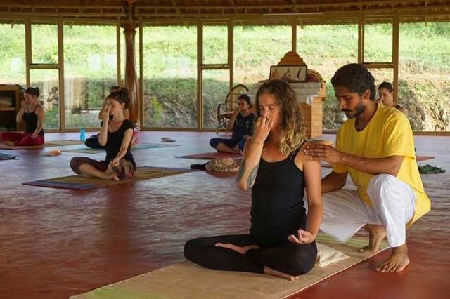 Huấn luyện viên Yoga đang là công việc được nhiều người lựa chọn