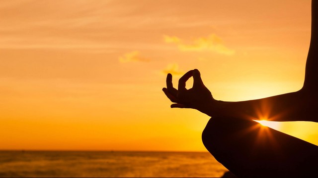 Tìm hiểu khóa học yoga chuyên sâu tại Gò Vấp