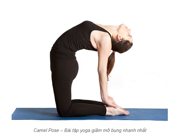 6 Bài Tập Yoga Giảm Mỡ Bụng Hiệu Qủa Có Ngay Vòng Eo Con Kiến