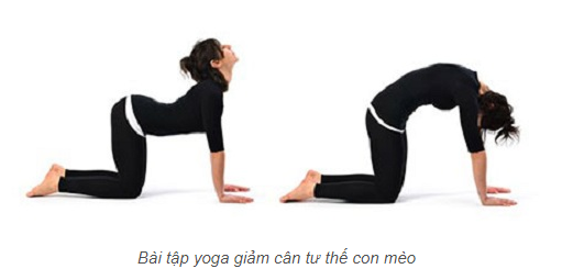 6 Bài Tập Yoga Giảm Mỡ Bụng Hiệu Qủa Có Ngay Vòng Eo Con Kiến