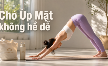 Tư thế Chó Úp Mặt - hành trình giải phóng cơ thể - Image 2