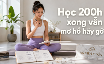 VẤN ĐỀ (Chủ đề thu hút người học HLV Yoga 200h) - Image 2
