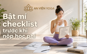 Cách chọn trường đào tạo Yoga uy tín giữa "ma trận" các trung tâm hiện nay - Image 2