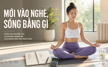 Phân tích thu nhập thực tế của một HLV Yoga mới vào nghề tại Việt Nam - Image 2
