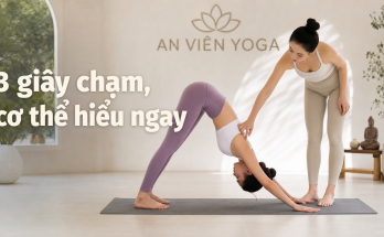 Nghệ thuật điều chỉnh (Adjustment) - Điểm chạm tinh tế giữa thầy và trò - Image 2
