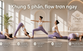 Bí quyết thiết kế một chuỗi bài Vinyasa mượt mà (Sequencing) - Image 2