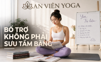 Tầm quan trọng của việc học thêm các chứng chỉ bổ trợ (Yin, Trị liệu...) - Image 2