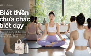 Thiền định (Meditation): Từ căn bản đến nâng cao cho giáo viên - Image 2